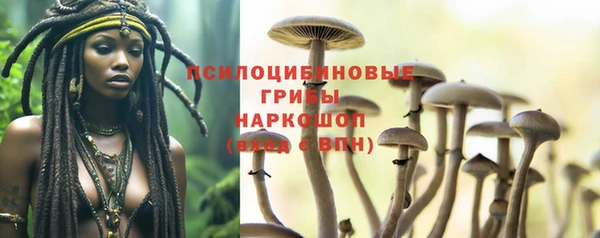 ГАЛЛЮЦИНОГЕННЫЕ ГРИБЫ Абдулино