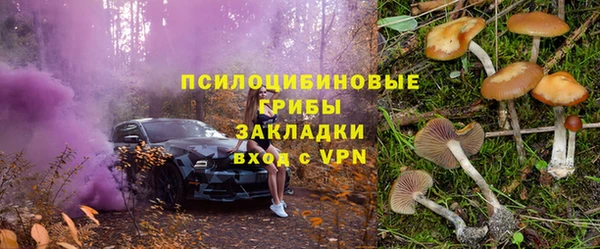 ГАЛЛЮЦИНОГЕННЫЕ ГРИБЫ Абинск
