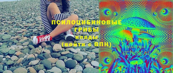 ГАЛЛЮЦИНОГЕННЫЕ ГРИБЫ Абдулино